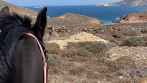 Horseback riding on the beach