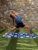 Yoga for Kite Surfers