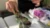 Plant Based Cooking Class